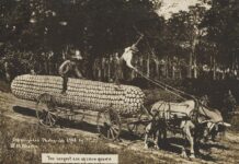 Além da IA: como a manipulação de imagens tem assombrado a fotografia desde seu nascimento