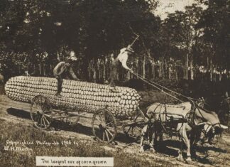 За межами ІІ: як маніпуляції із зображеннями переслідують фотографію з моменту її зародження