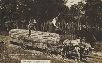 За межами ІІ: як маніпуляції із зображеннями переслідують фотографію з моменту її зародження