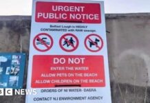 Загадкові плакати про «неочищені стічні води» в затоці Белфаст викликали замішання