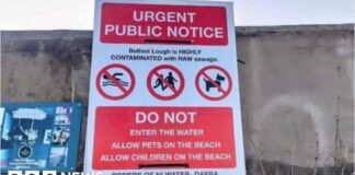 Mystery Posters Warn of ‘Raw Sewage’ in Belfast Lough Spark Confusion