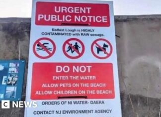 Загадкові плакати про «неочищені стічні води» в затоці Белфаст викликали замішання