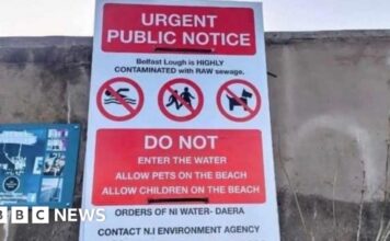 Загадкові плакати про «неочищені стічні води» в затоці Белфаст викликали замішання