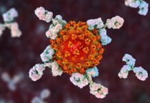 Імунна Система, Атакуча Власний Організм, Пов’язана з Персистирующими Симптомами Довгострокового COVID