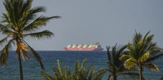 Blokkade van de Straat van Hormuz: een dreigende mondiale voedselcrisis