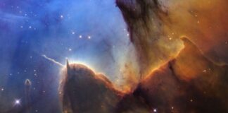 Hubble celebra 36 años capturando la rápida evolución en la Nebulosa Trífida