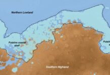 Evidence of a Lost Martian Ocean: The Discovery of a Massive Continental Shelf
