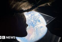 Arte o scienza? Il duplice scopo delle immagini lunari di Artemis II