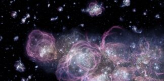 A Glimpse into the Cosmic Dawn: Potential Evidence of the Universe’s First Stars