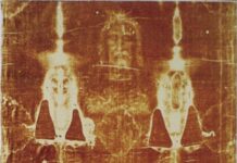 Туринська Плащаниця Забруднена Віковими Слідами ДНК: Тварин, Рослин та Людей