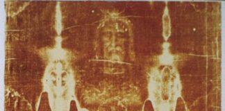 Le Linceul de Turin contaminé par des siècles d’ADN : animaux, plantes et humains