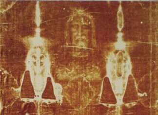 Туринська Плащаниця Забруднена Віковими Слідами ДНК: Тварин, Рослин та Людей