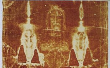 Туринська Плащаниця Забруднена Віковими Слідами ДНК: Тварин, Рослин та Людей