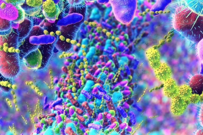 efefc4ff-c271-4dbf-adac-9ca42282080c