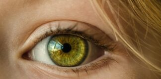 BIOPIX: Жидкостная искусственная сетчатка, имитирующая естественное зрение человека