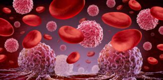 Gene Editing Lets Donor Stem Cells Dodge Cancer Therapy