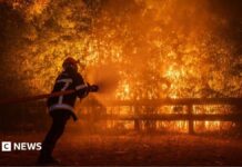 Пожежі в Бордо: Макрон скликає екстрену нараду на тлі загрози пожеж на південному заході Франції