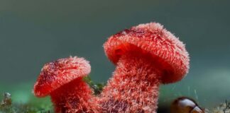 Hidden worlds beneath your feet