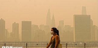 Waldbrände in den USA rauchen: Trump gibt Kanada die Schuld