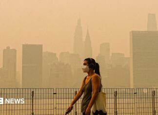 Дым от лесных пожаров в США: Трамп обвиняет Канаду