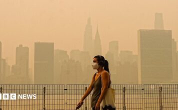 Waldbrände in den USA rauchen: Trump gibt Kanada die Schuld
