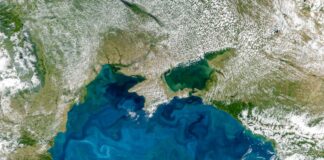 Mengapa Laut Hitam Berubah Pirus: Menguraikan Penemuan Satelit PACE