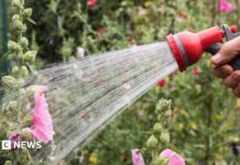 Тривога через водопровідну воду: як спека впливає на ресурси