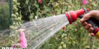 Тревога из-за водопроводной воды: как жара влияет на ресурсы
