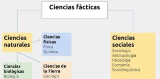 What Are Factual Sciences and Why Do They Matter?