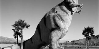¿Quién es el dinosaurio más grande? Comparación de Argentinosaurus, Patagotitan y Dreadnoughtus