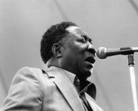 Impara il Guitar Lick: padroneggia le tecniche cromatiche, blues, funk e jazz